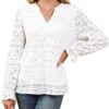 RUMIA Women's Blouse, V-Neck Eyelet Lace Lined Dress Shirt, Sheer Long-Sleeve Embroidered Top, 2025 Fashion